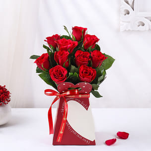 Rose Day Romance in Red